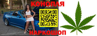 дмт Будённовск