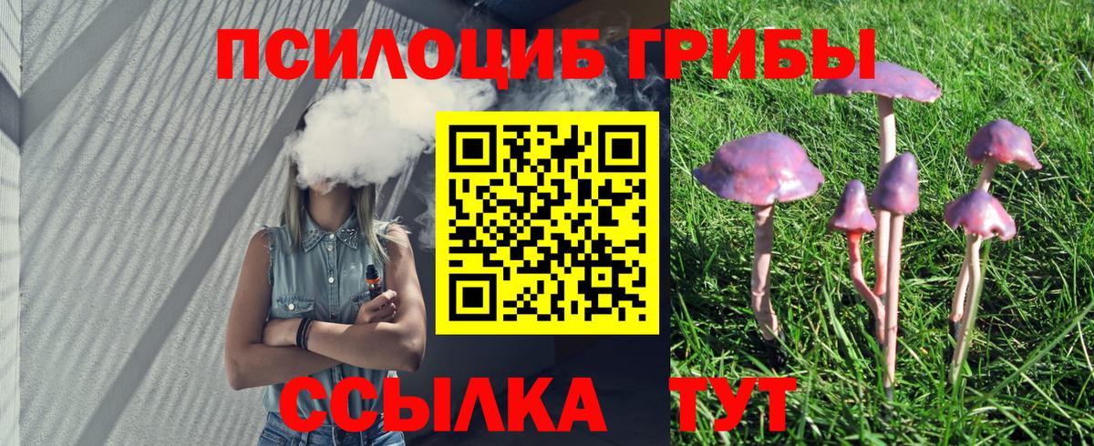 Галлюциногенные грибы Psilocybe Серпухов