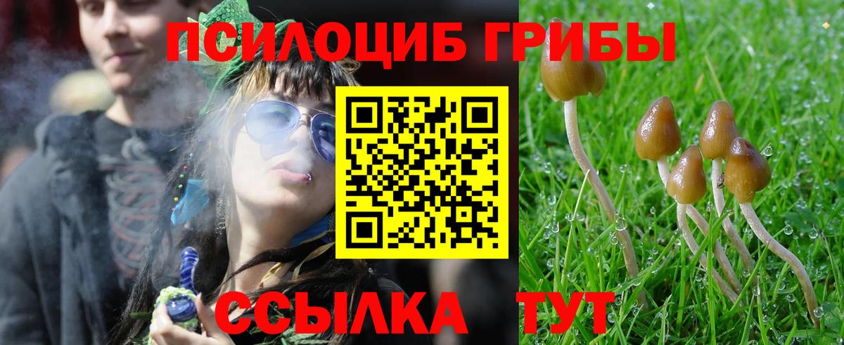 Псилоцибиновые грибы мицелий  Вход с VPN  Серпухов  Псилоцибиновые грибы Psilocybine cubensis 